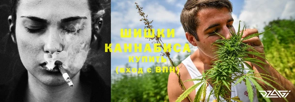 PSILOCYBIN Липки