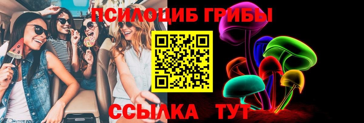 Псилоцибиновые грибы GOLDEN TEACHER  Вход с VPN  Псилоцибиновые грибы GOLDEN TEACHER  сколько стоит  Биробиджан 